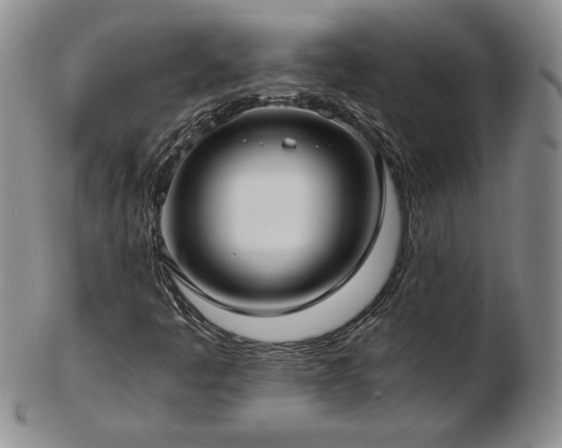 X0000103131445200808221143
