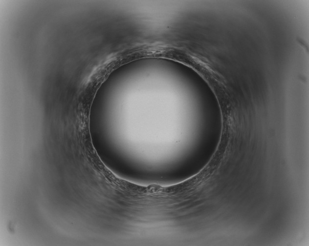 X0000103131447200808221143