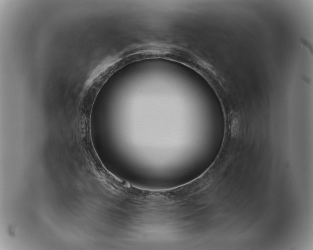 X0000103131448200808221143