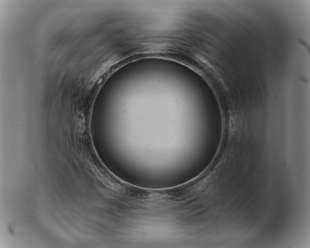 X0000103131449200808221143