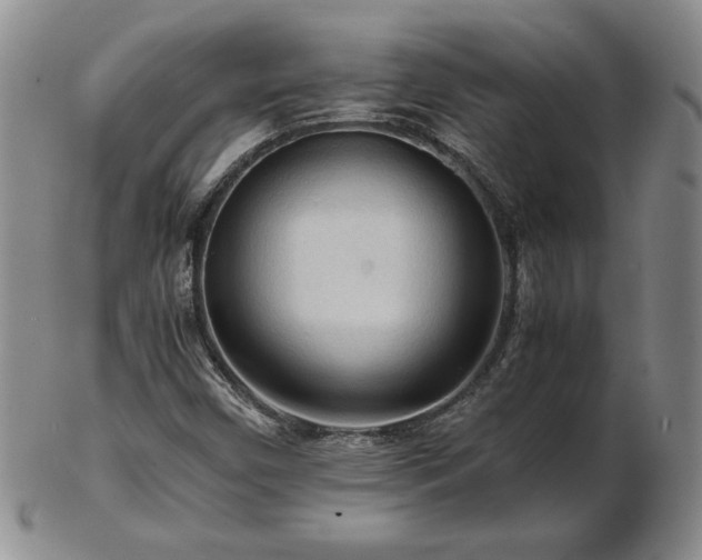 X0000103131450200808221143