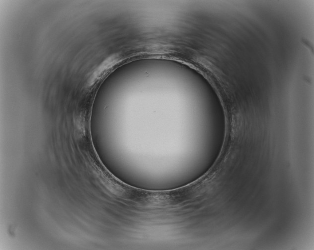 X0000103131451200808221143