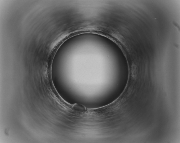 X0000103131452200808221143