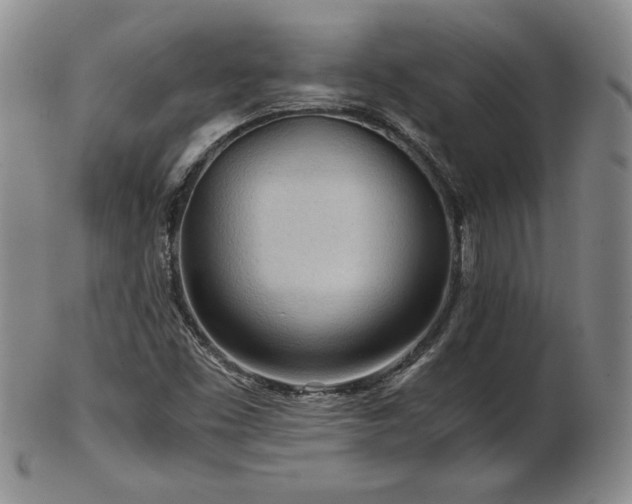 X0000103131453200808221143