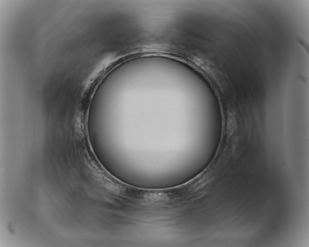 X0000103131454200808221143
