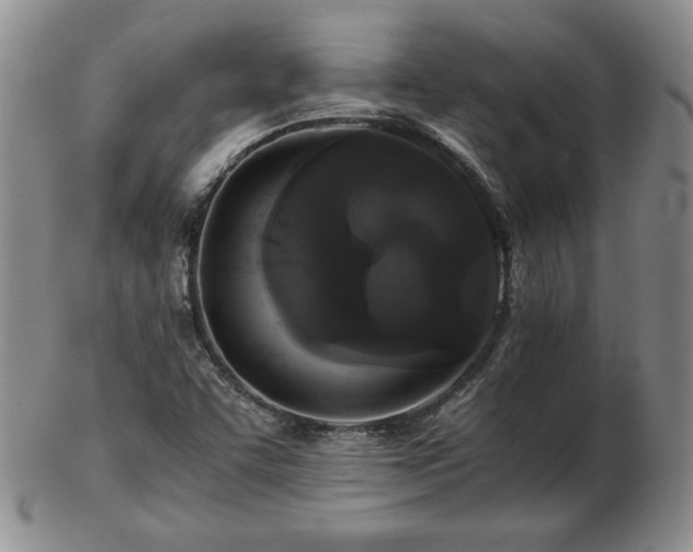 X0000103131455200808221143