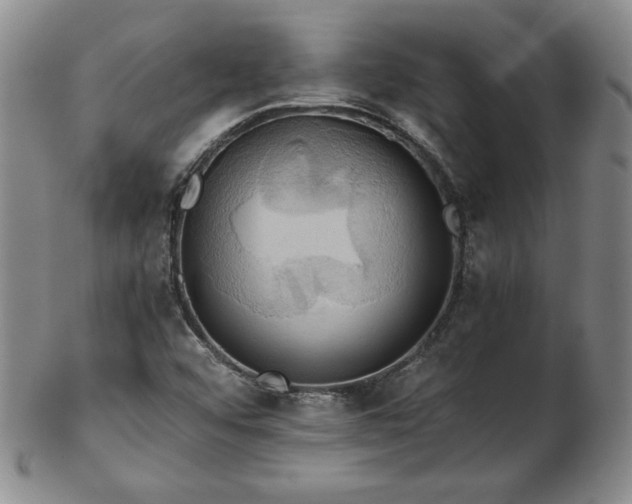 X0000103131456200808221143