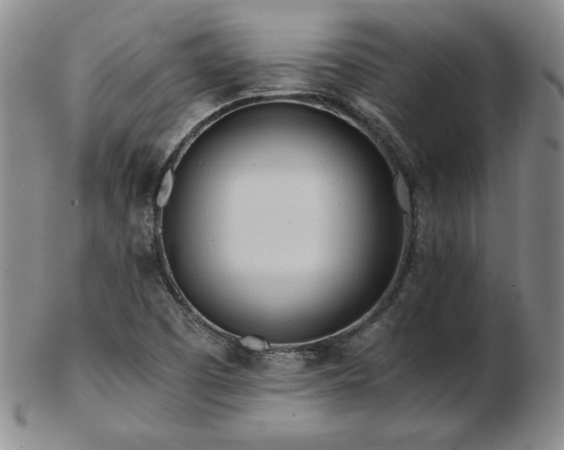 X0000103131457200808221143