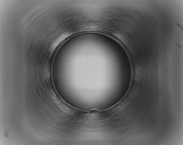 X0000103131458200808221143
