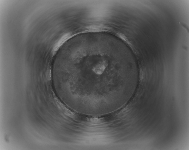 X0000103131459200808221143