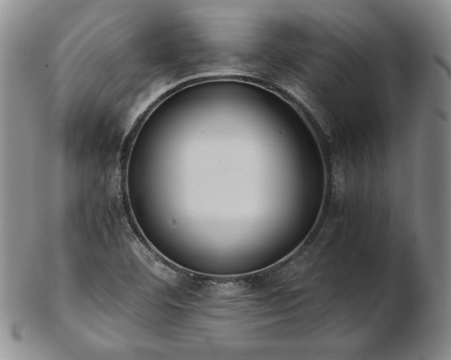 X0000103131460200808221143