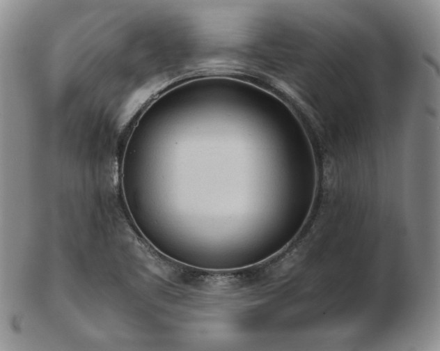 X0000103131461200808221143