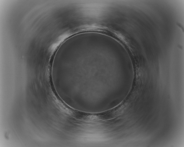 X0000103131463200808221143