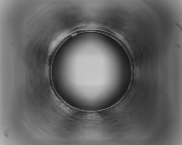 X0000103131464200808221143