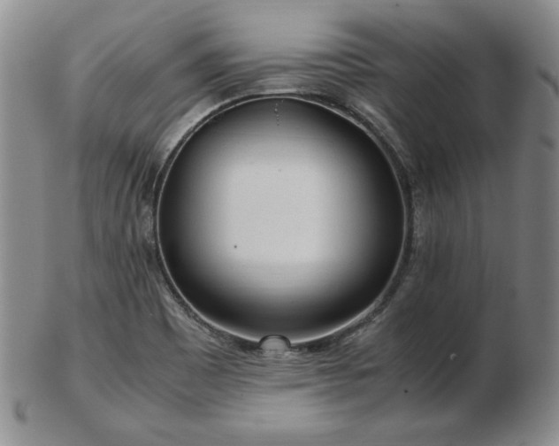 X0000103131465200808221143