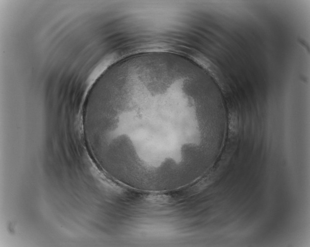 X0000103131466200808221143