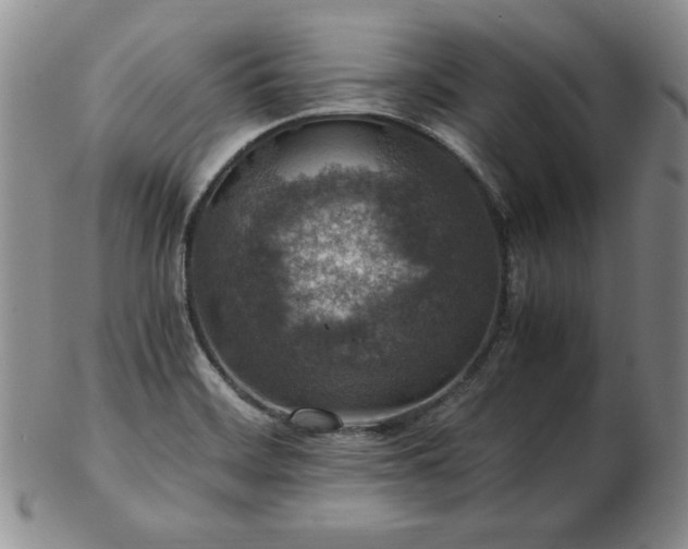 X0000103131468200808221143