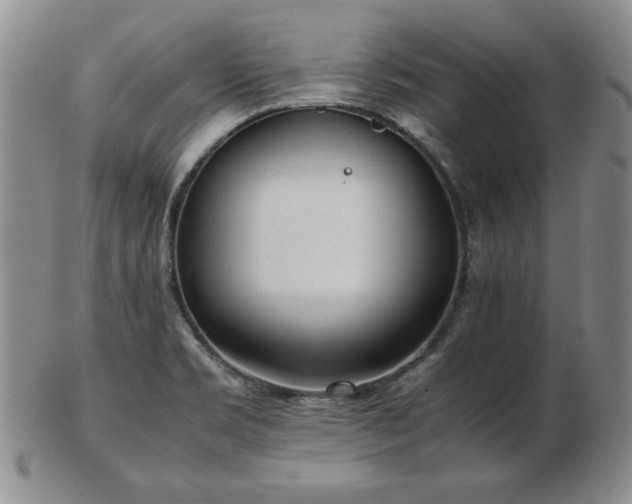 X0000103131469200808221143