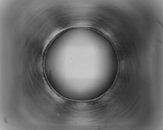 X0000103131470200808221143