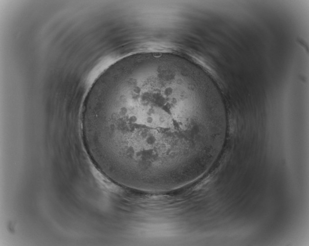 X0000103131471200808221143