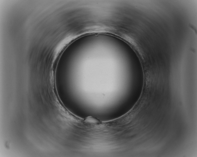 X0000103131472200808221143