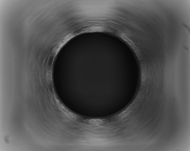 X0000103131473200808221143