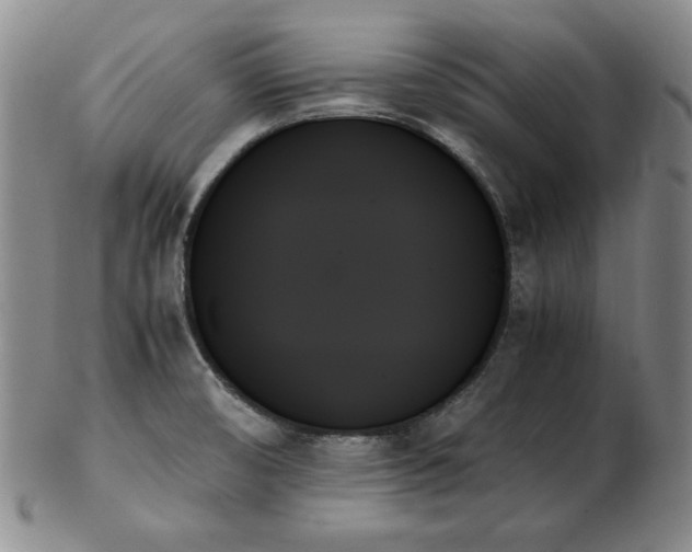 X0000103131474200808221143