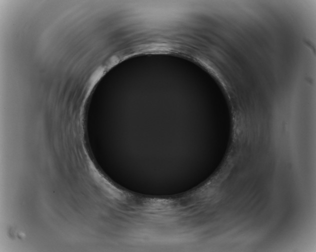 X0000103131475200808221143