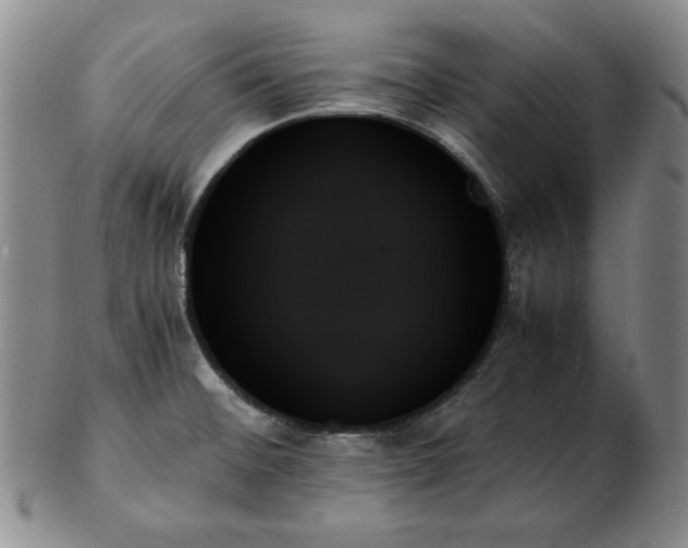 X0000103131476200808221143