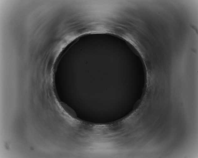 X0000103131477200808221143