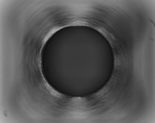 X0000103131478200808221143