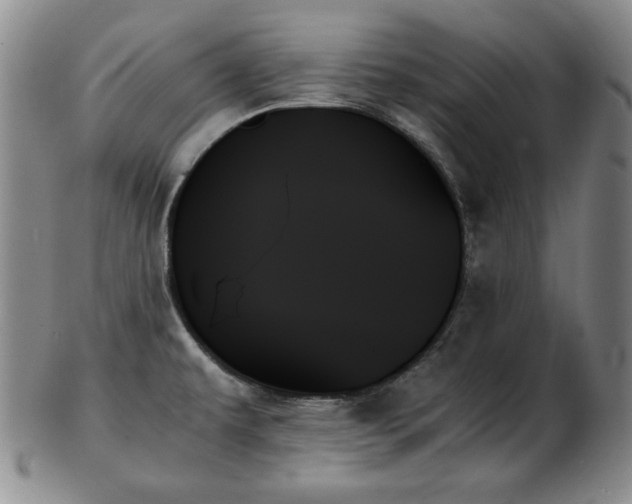 X0000103131479200808221143
