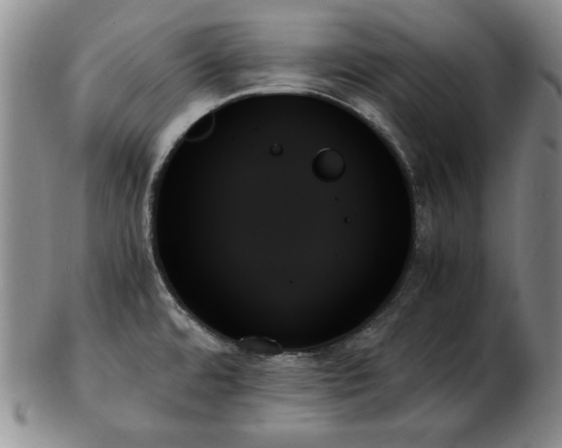 X0000103131480200808221143