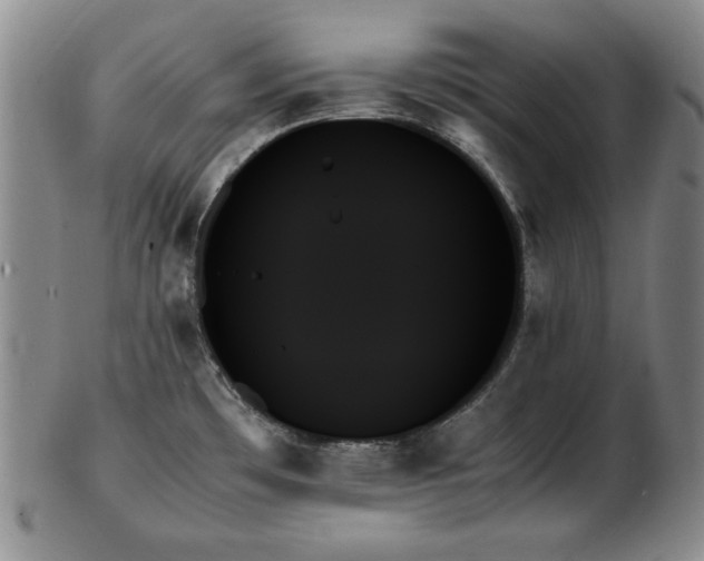 X0000103131481200808221143
