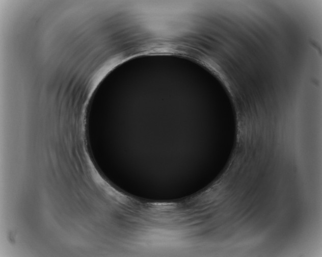 X0000103131483200808221143