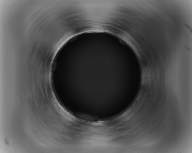 X0000103131484200808221143