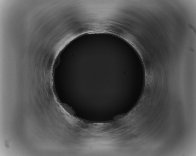 X0000103131485200808221143
