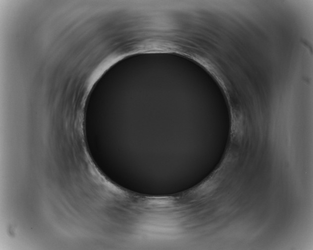 X0000103131486200808221143
