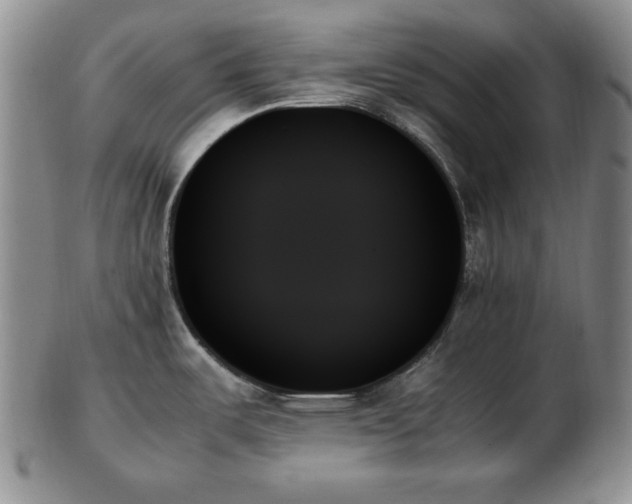 X0000103131487200808221142