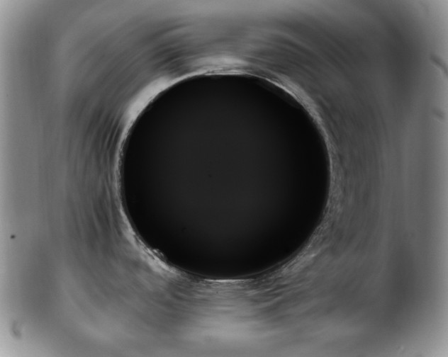 X0000103131488200808221142