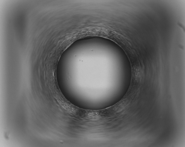 X0000103131489200808221142