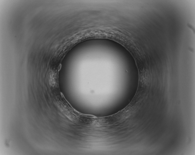 X0000103131490200808221142