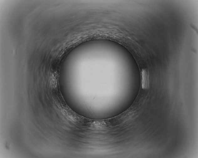 X0000103131491200808221142