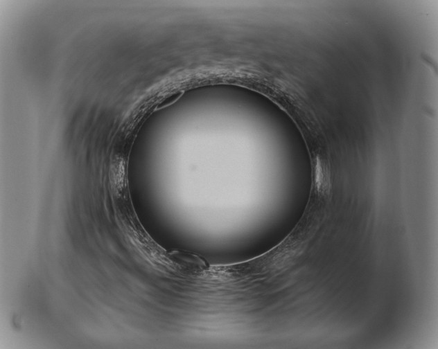 X0000103131492200808221142
