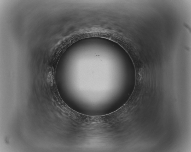 X0000103131493200808221142