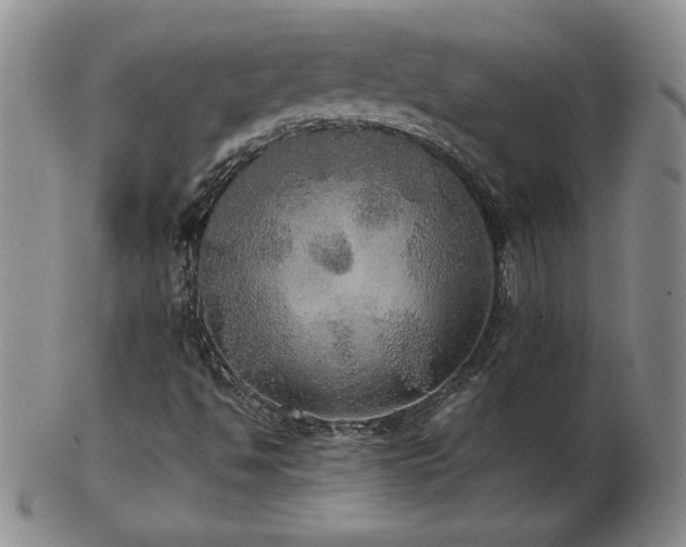 X0000103131494200808221142
