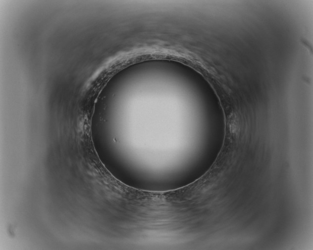 X0000103131495200808221142