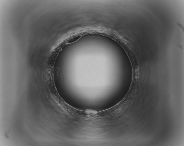 X0000103131496200808221142