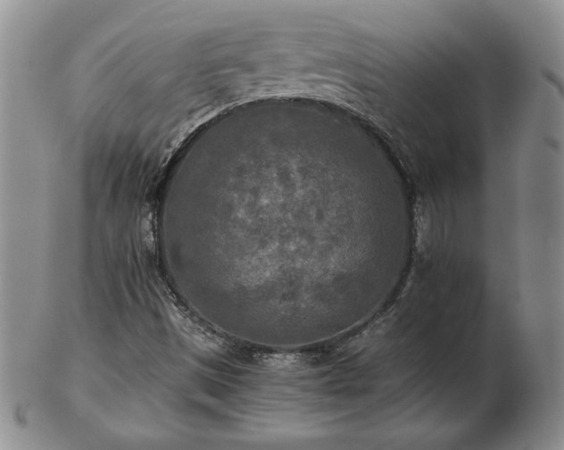 X0000103131497200808221142