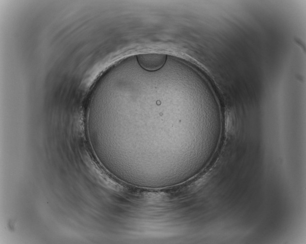 X0000103131498200808221142